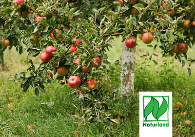 Naturland - Ekološko združenje & partner blagovne znamke dmBio