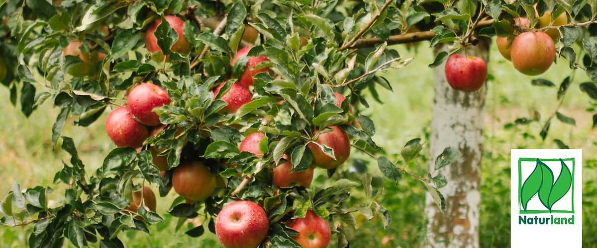 Naturland - Ekološko združenje & partner blagovne znamke dmBio