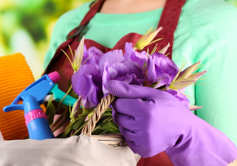  Nasveti za čiščenje slika