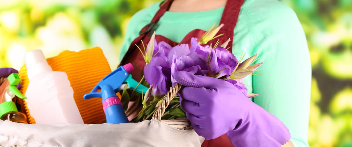 Nasveti za čiščenje slika