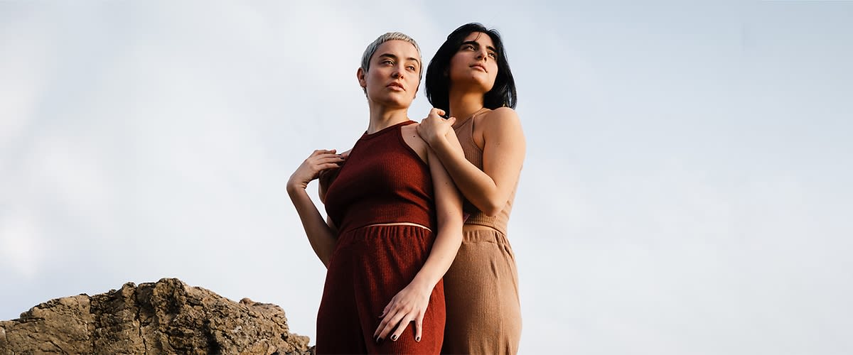 Folikularna faza slika