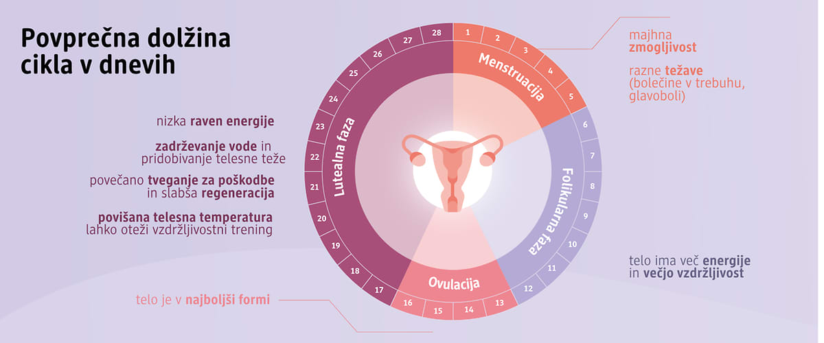 Povprečna dolžina cikla
