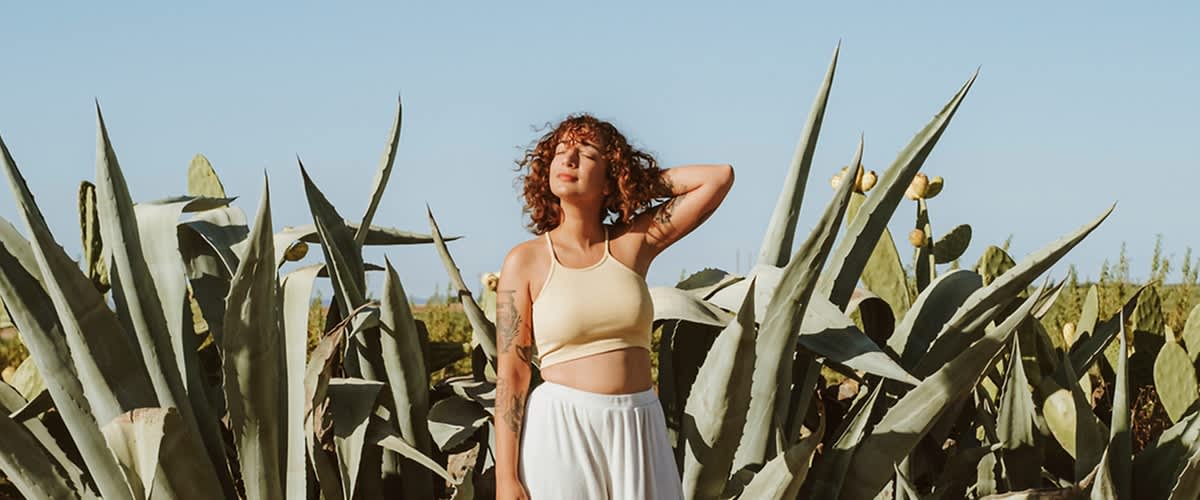 slika aloe vera lasje