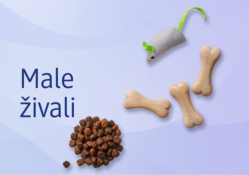 Male živali