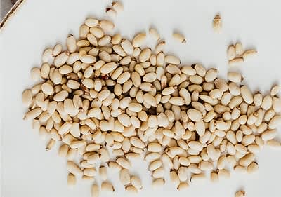 Pinjole na krožniku
