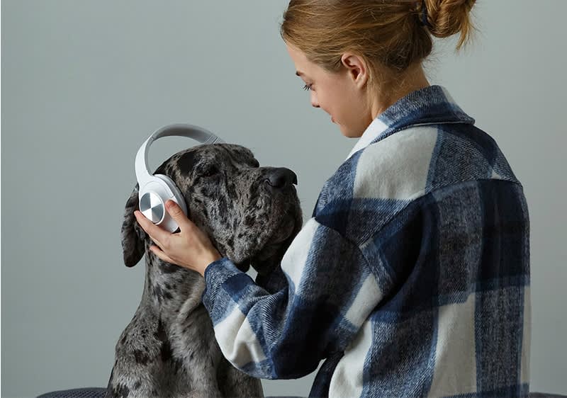 Pes s slušalkami