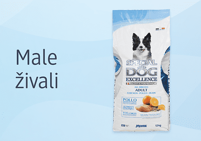 Slika male živali