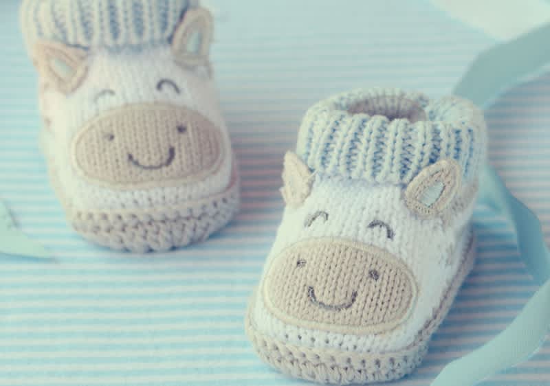 Otroški copatki z motivom živali na modri črtasti podlagi