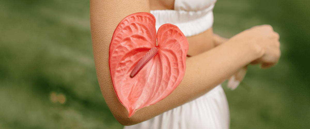 Rožnati cvet anthurium na roki ženske v beli obleki na travniku