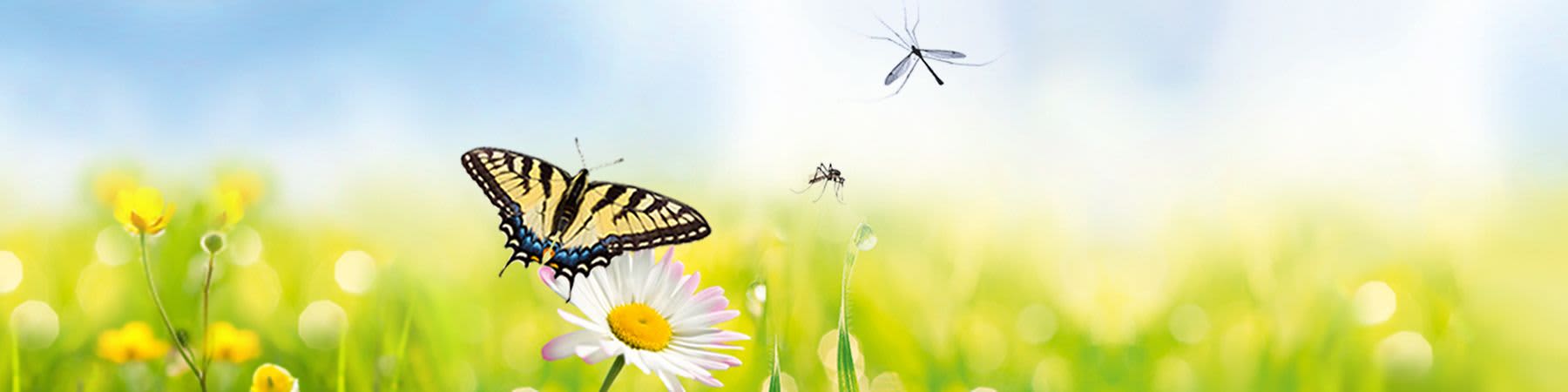 zaščita pred insekti