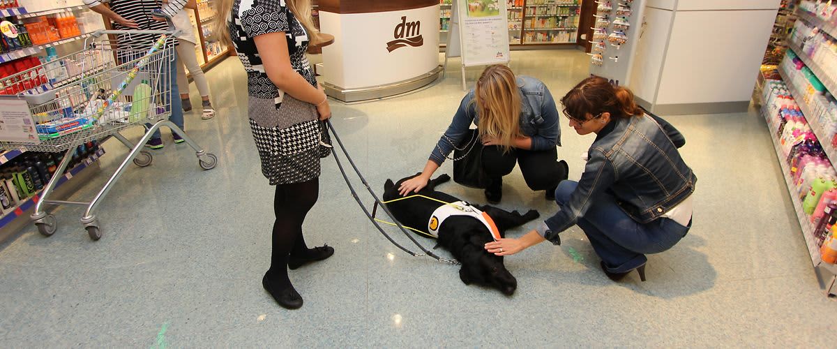 V dm-u so vaši hišni ljubljenčki dobrodošli