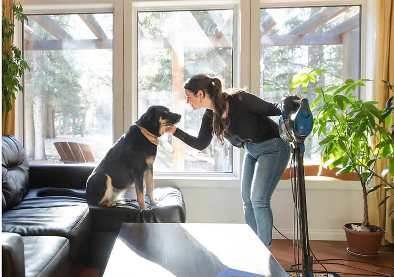 Čist dom kljub živalskim dlakam 