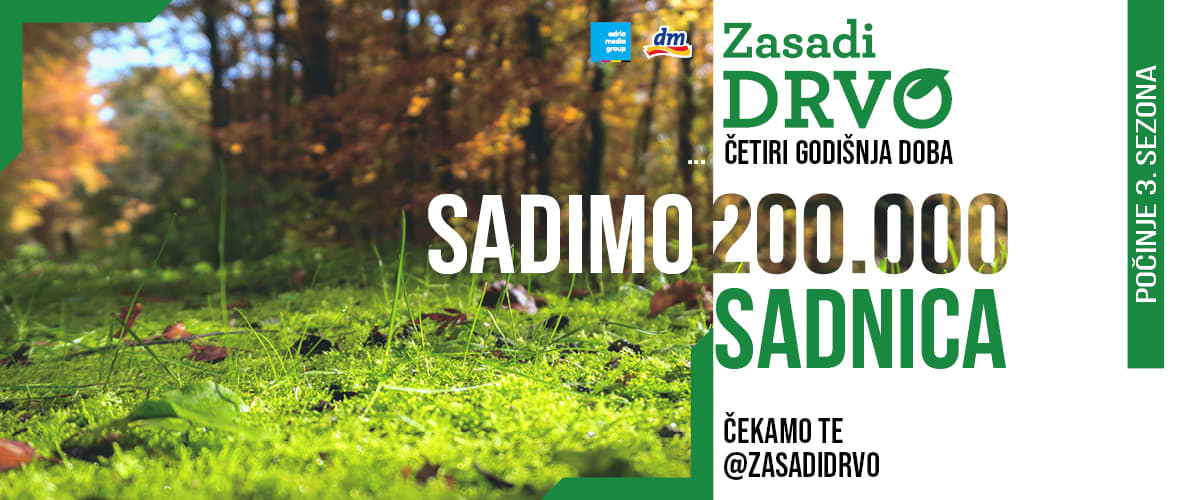 Zasadi drvo