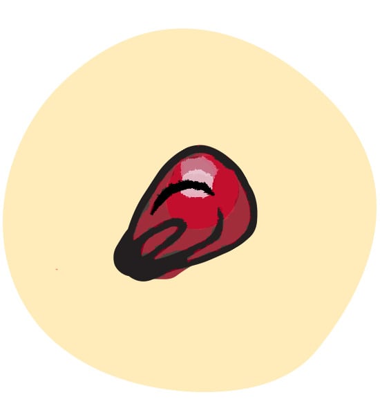 Granatapfelkern