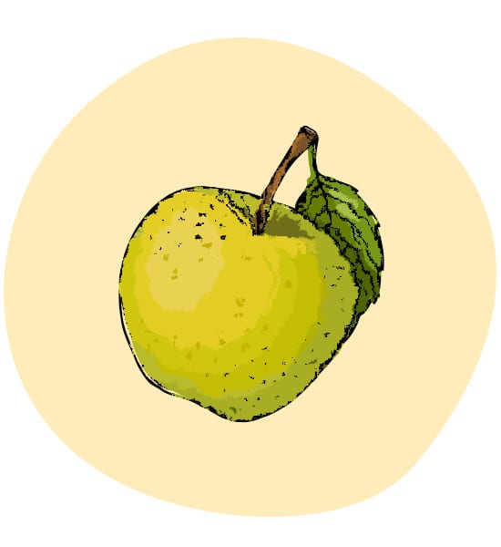 Apfel