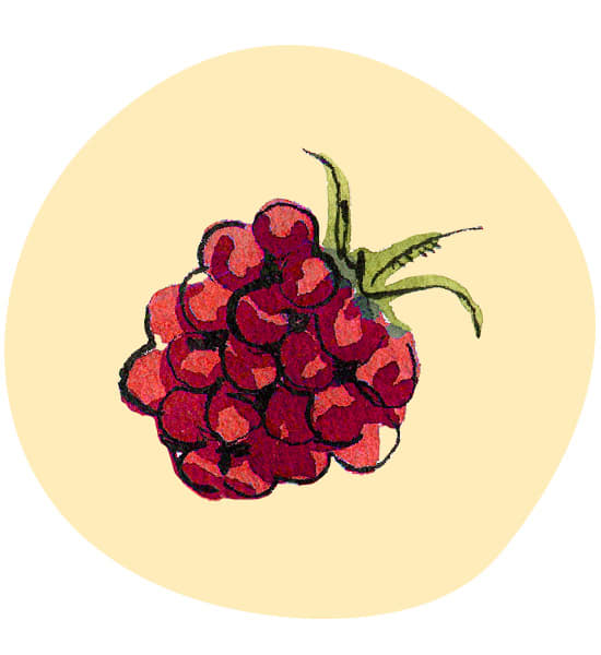 Himbeere