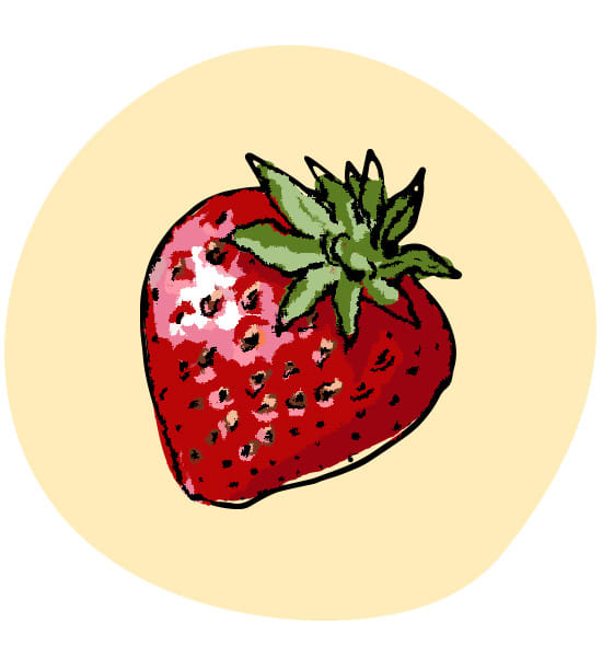 Erdbeere