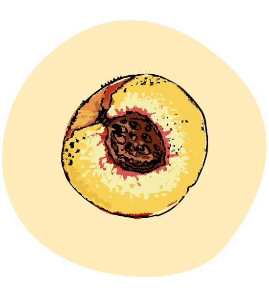 Pfirsich
