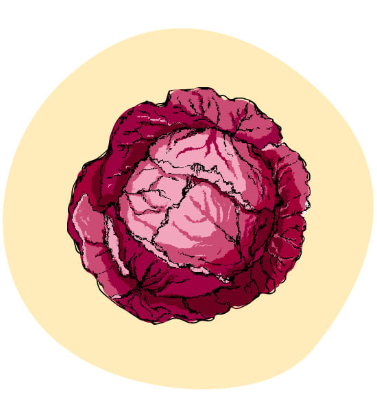 Rotkohl
