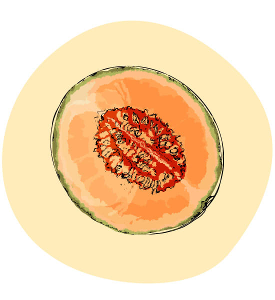 Honigmelone
