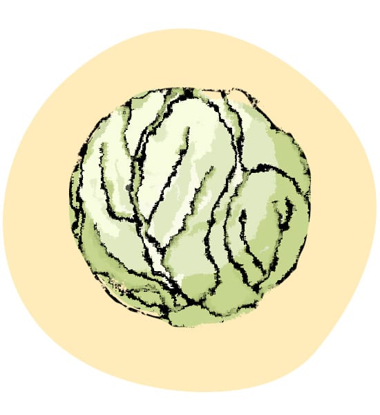 Weißkohl