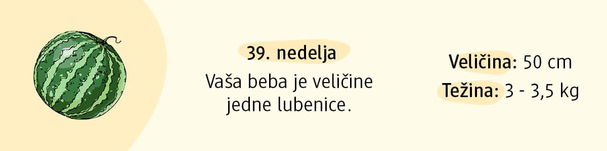 lubenice