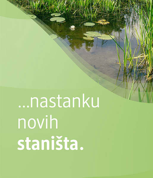 Sie können unterstützen, Biotope entstehen zu lassen. 