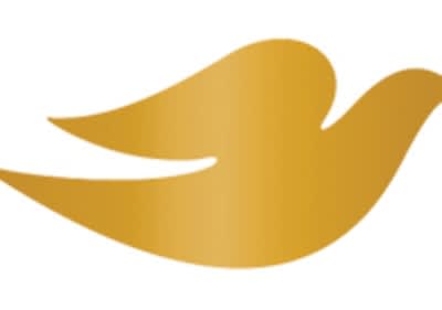 Dove Logo Teaserbild