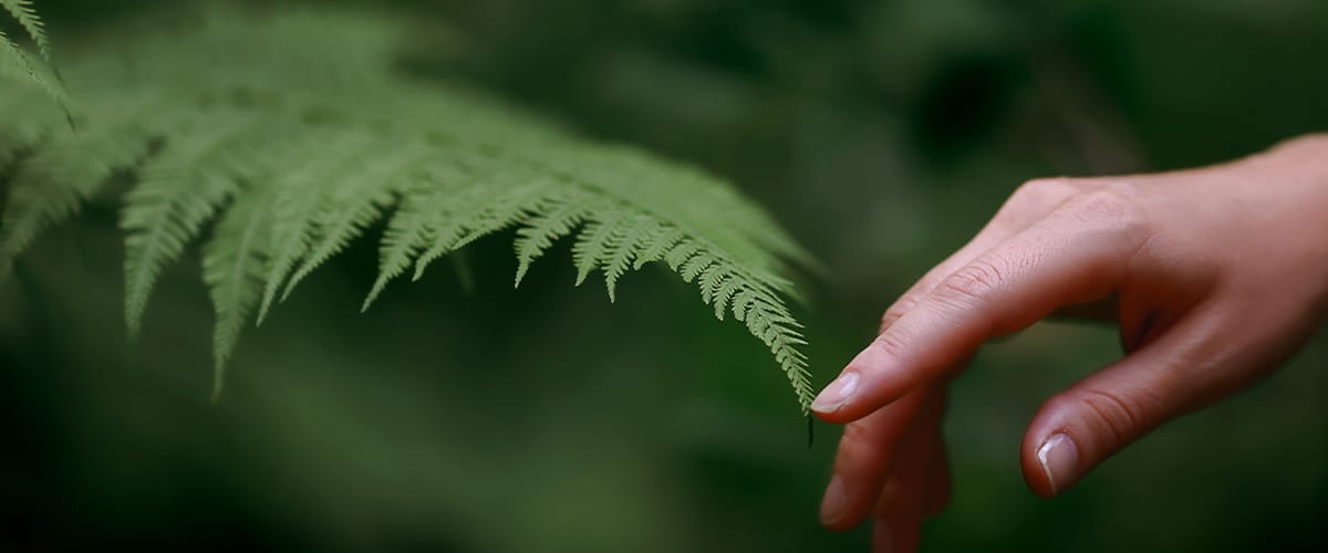 Kundin greift bei dm zu den dm Marken im Ernährungsregal.