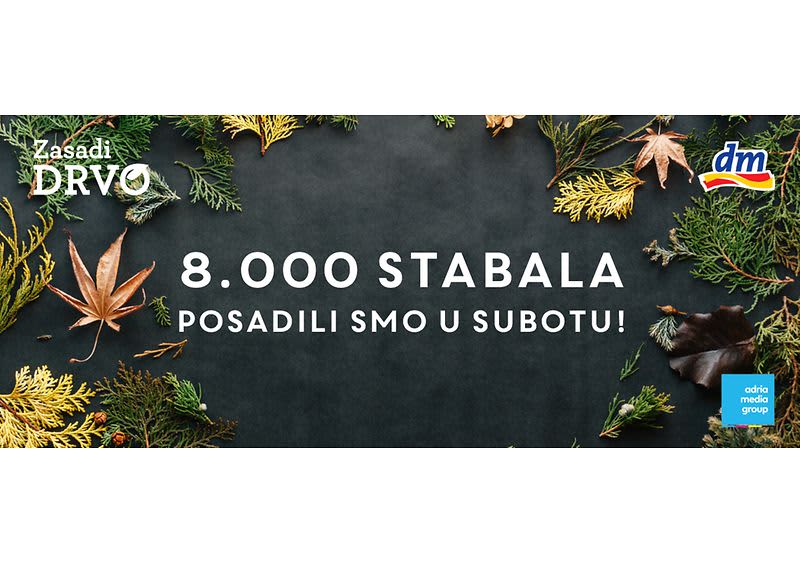 Zasadi drvo