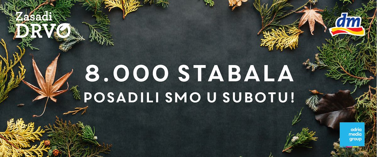 Zasadi drvo