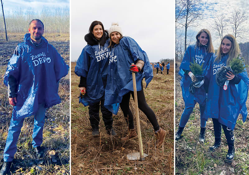 Veliki uspeh projekta "Zasadi drvo"