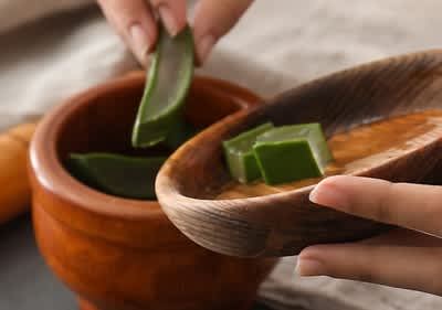 Aloe Vera