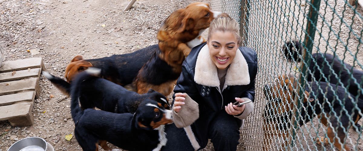 Udruženje „Zoovita“