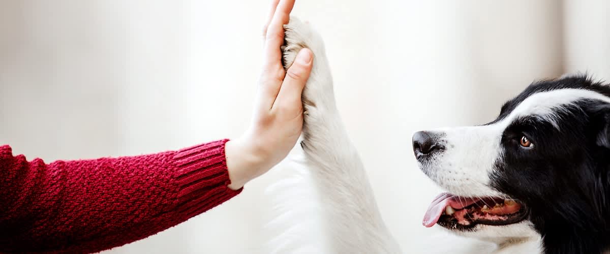 Obaveštenje za kupce