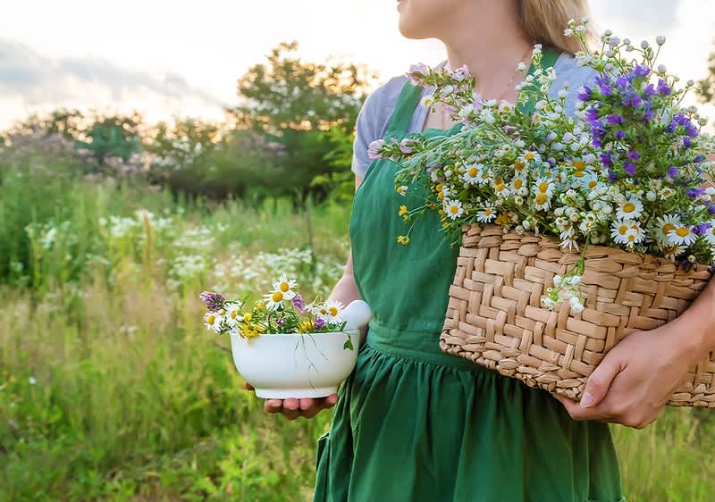 Domaći prehrambeni brendovi