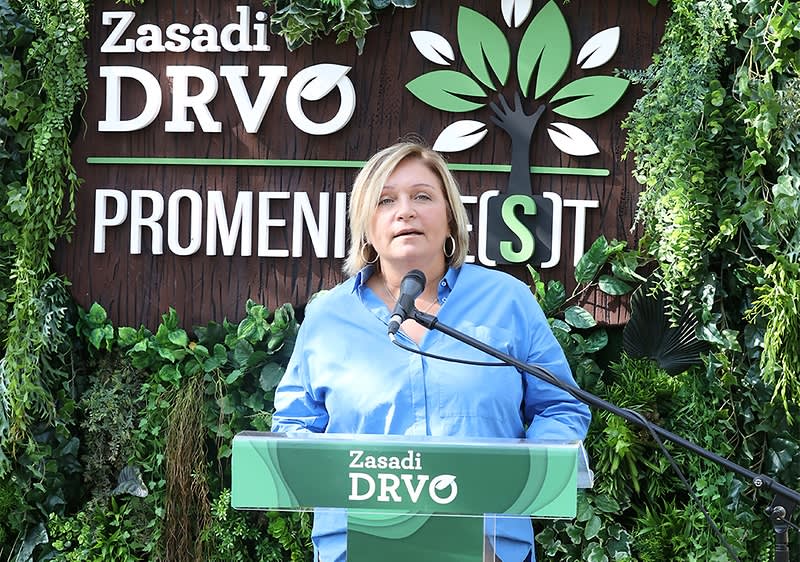 Zasadi drvo