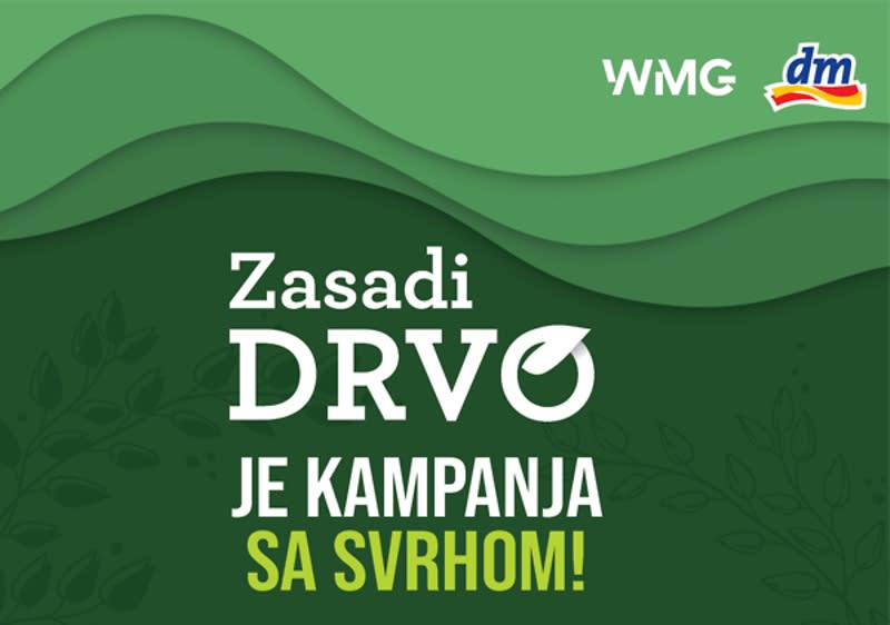 zasadi drvo