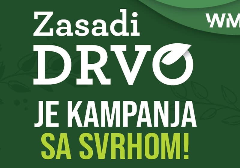 zasadi drvo