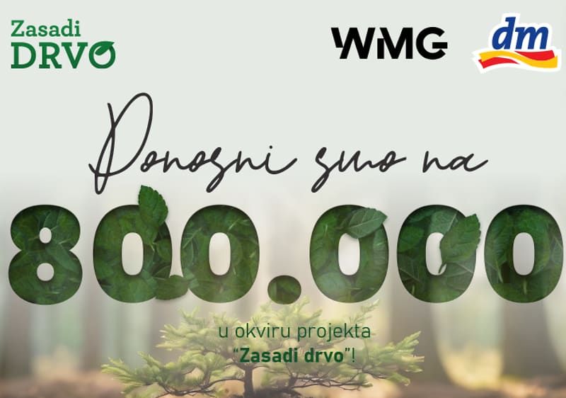 zasadi drvo