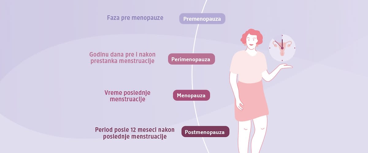 4 Phasen der Wechseljahre