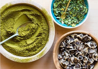 Moringa