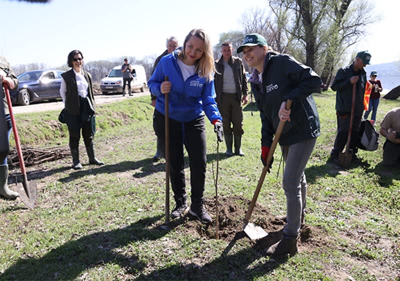 Milion stabala zasađeno u okviru projekta „Zasadi drvo“ 