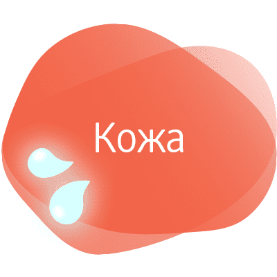 Нашата кожа