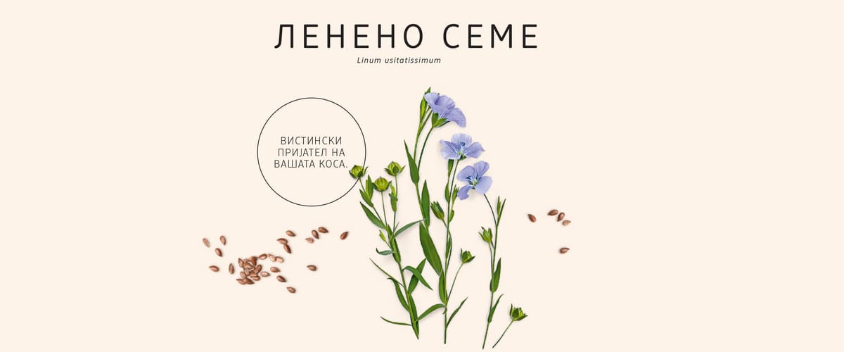 Лененео семе