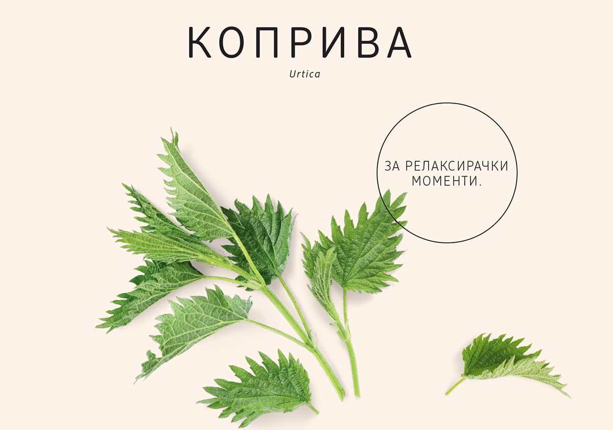 Коприва 