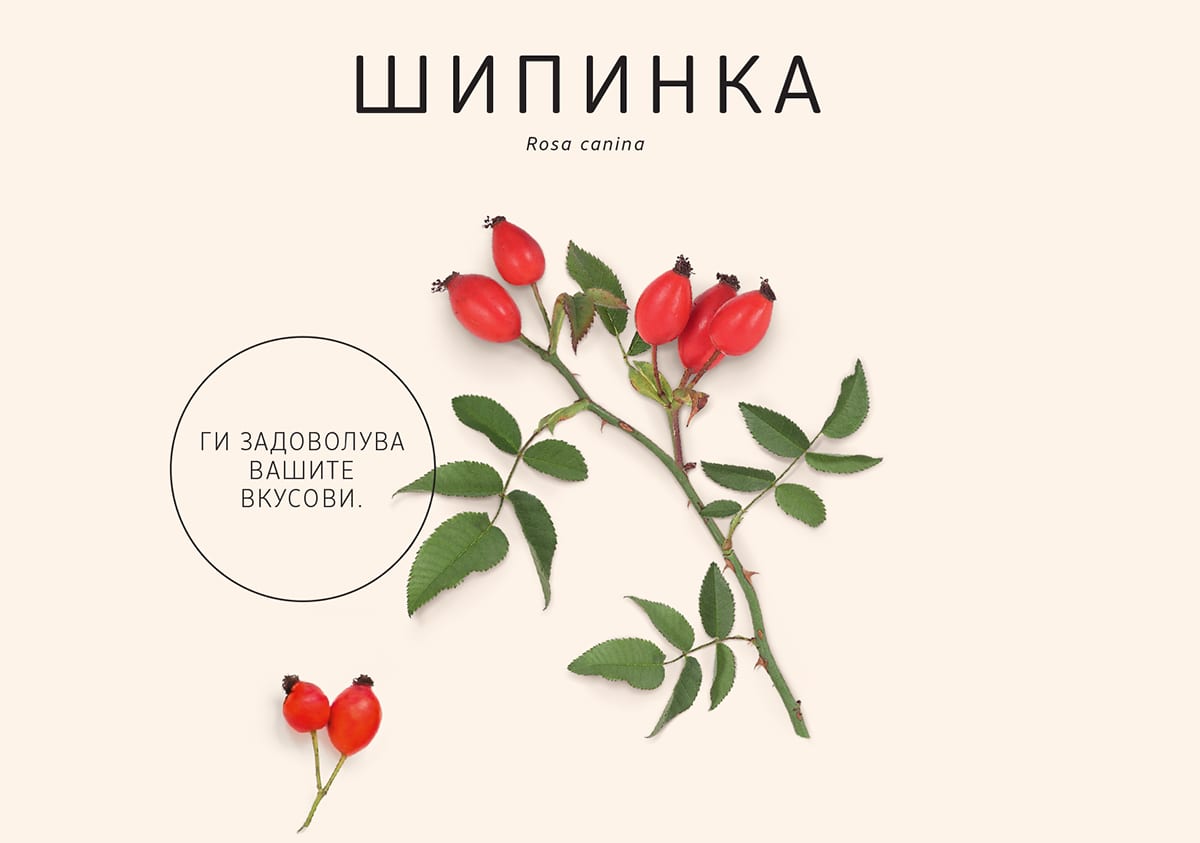 Шипинка