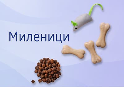 Tiernahrung und Tierpflegeprodukte