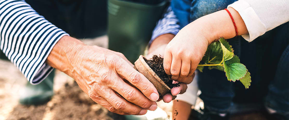 Nachhaltige Produkte