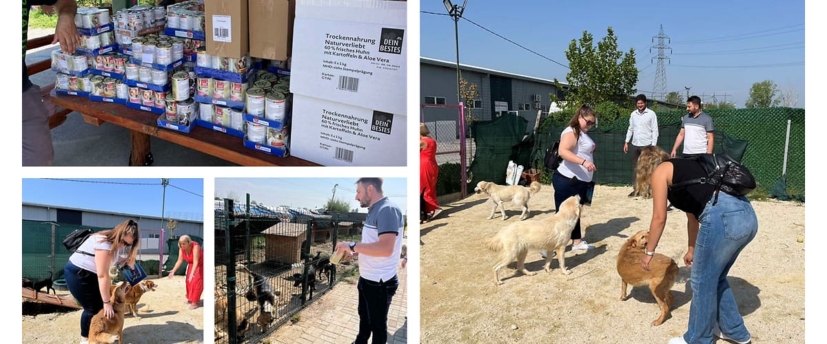 Донација Лајка и Хепи Шелтер